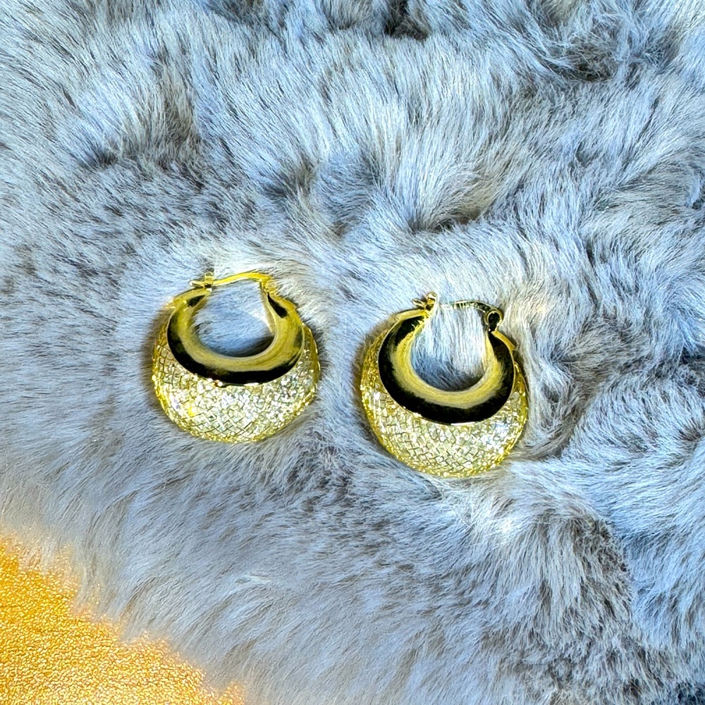 Gold-plated Luxry Hoop Earrings